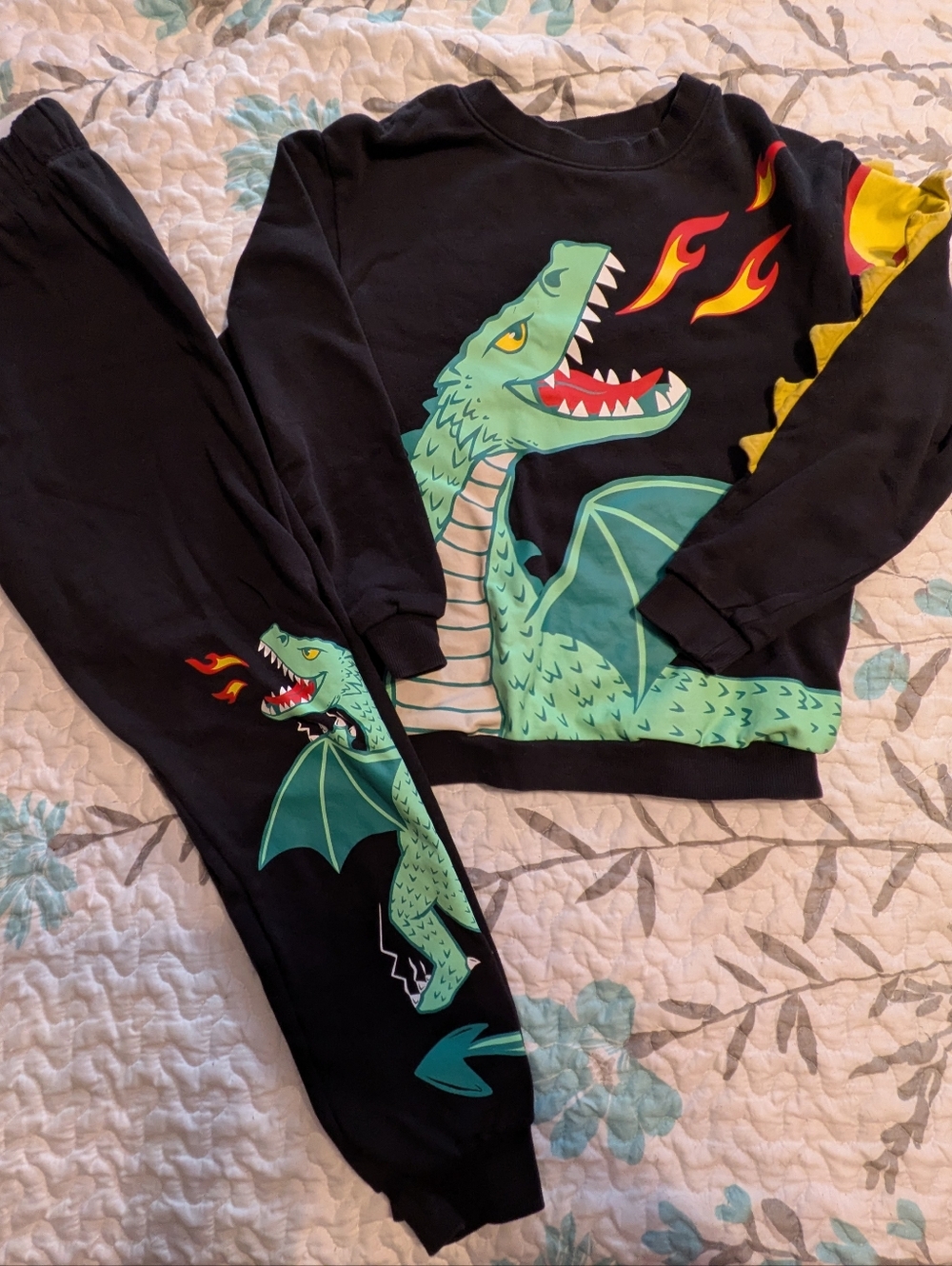 H&M Dragon Sweatshirt and Sweatpants 9/10